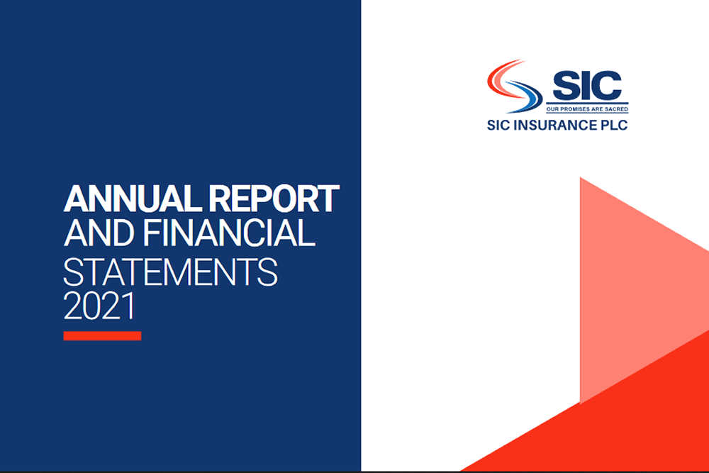 2021 Annual Report and Financial Statement
